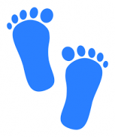 footprint free pbns